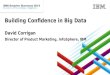 Building Confidence in Big Data - IBM Smarter Business 2013