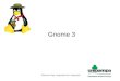 Gnome 3: Desktop moderno, layout limpo e objetivo - Patrícia Domingues