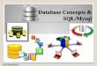 CBSE XII Database Concepts And MySQL Presentation