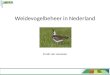 Weidevogelbeheer in Nederland Freek van Leeuwen. Inhoud •Agrarisch natuurbeheer •Weidevogelbeheer •Pakketten in Nederland •Agrarische natuurverenigingen