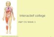 FHV2011/ Anatomie & Fysiologie periode 1 week 1 1 Interactief college A&F O1 Week 1