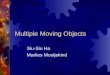 Multiple Moving Objects Siu-Siu Ha Marlies Mooijekind