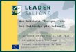 Wat betekent “Europa” voor het Sallandse platteland? Infocentrum Den Nul 13 jan 2012 Mireille Groot Koerkamp Leader coördinator Salland
