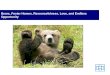 Bears, Foster Homes, Resourcefulness, Love, and Endless Opportunity 