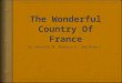 The wonderful country of france rebecca