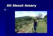 All  About  Amary