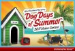 Avnet's Dog Days of Summer Contest