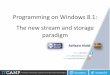 Programming on Windows 8.1: The New Stream and Storage Paradigm (Raffaele Rialdi)