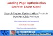 The Underground Landing Page Optimization Guide for SEO & PPC - Jon Rognerud