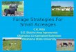 Forage Strategies for Small Acreages