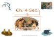 7th Grade Ch. 4 Sec. 3 Mammals