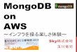 MongoDB on AWS
