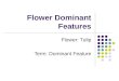 2 16 Types Of Flowers