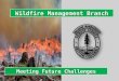 B.C. Wildfire Management Branch—2012 presentation to the PFLA