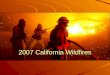 2007 California Wildfires