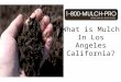 What is mulch in los angeles california