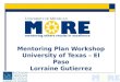 Mentoring Plan Workshop, Winter 2012