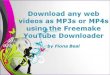Download web videos with Freemake Video Converter (free)