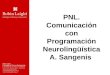 Comunicación con programación neurolingüística
