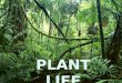 Plant life unit 5 2nd year