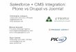 Open Source CMS + Salesforce Integration Showdown: Plone vs Drupal vs Joomla!