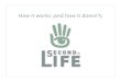 Second Life How It Works And How It Doesnt