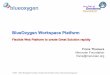 Blueoxygen Workspace Overview 2.1