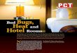 Bed Bugs Heat and Hotel Rooms
