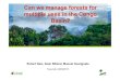 Can we manage forests for multiple uses in the Congo Basin?
