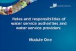 Module 1 wsa and wsp roles and responsibilities (presentation)