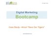 Digital Marketing Case Study - Aircel (Save Our Tigers)