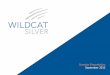 Wildcat Silver Investor Presentation