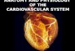Anatomy and-physiology-of-the-cardiovascular-system-medical-surgical-nursing-ppt