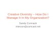 Creative Diversity - How Do I Manage It In My Organization