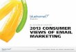 BlueHornet Consumer Views of Email Marketing 2013
