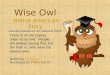 Owl Creation Story