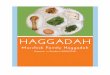 Marchick Family DYI Haggadah for the Leader 2012