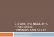 Hominids & Skills