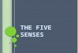 The Five Senses2