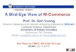 A bird eye view of m-commerce Vương Thanh Sơn