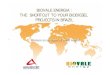 Biovale   Your Biodiesel Projects In Brazil