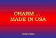 Charm Made In USA
