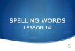 Spelling words l14