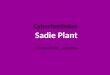 Cyberfeminism Sadie Plant Nonidentity to Posthumanity