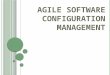 04 - Agile Software Configuration Management