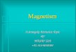 Magnetism by wasay zia