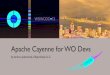 Apache Cayenne for WO Devs
