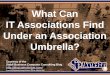What Can IT Associations Find Under an Association Umbrella? (Slides)