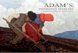 Adams Important Irish Art Auction