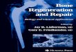 bone regeneration and repair